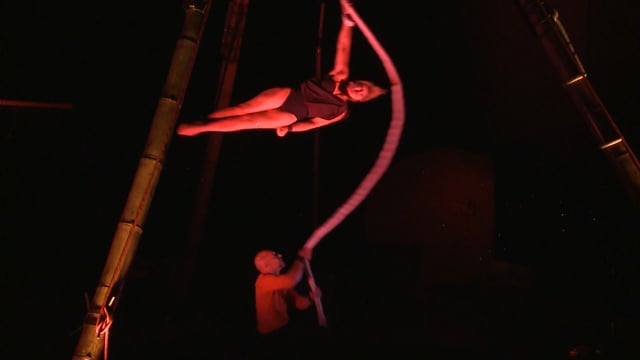 Partitions bambous - Cie L'art des airs